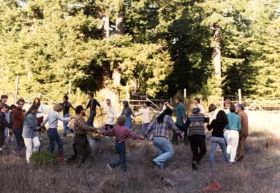 Allen Table Mountain 2